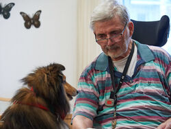 Foto: Beim Besuchsdienst mit Hund besuchen ehrenamtliche Mitarbeiterinnen und Mitarbeiter der Malteser mit ihrem eigenen Hund Senioreneinrichtungen oder Privathaushalte mit alten und/oder pflegebedürftigen Menschen. (Quelle: FM.Becker/Malteser).